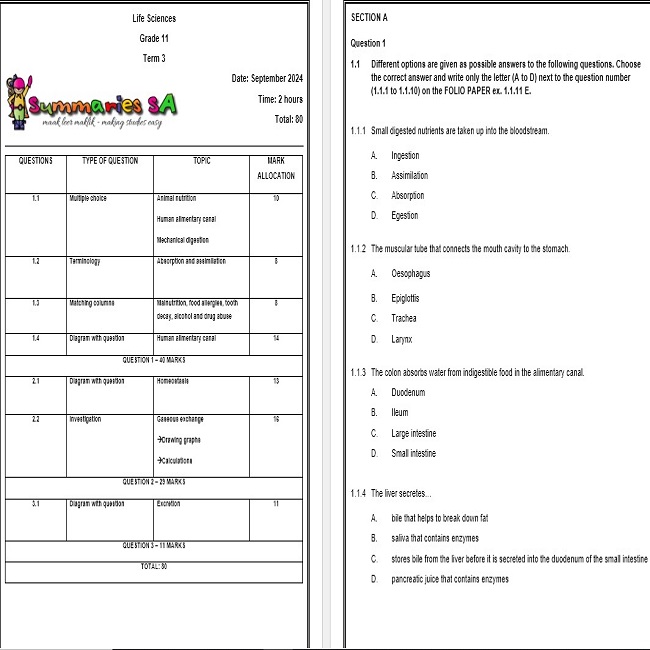 Grade 10 Life Sciences September Paper 2024