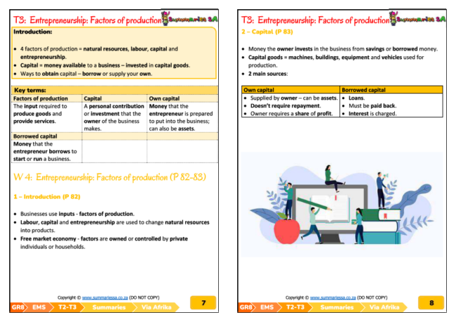 Grade 8 EMS (Economics) Summaries Term 2 (Via Afrika)