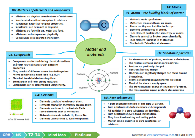 Grade 8 NS Summaries Term 2 Platinum CAPS PDF | Summaries SA