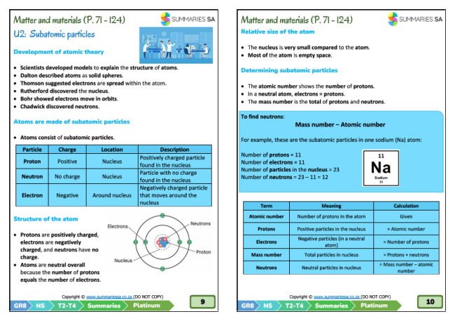 Grade 8 NS Summaries Term 2 Platinum CAPS PDF | Summaries SA