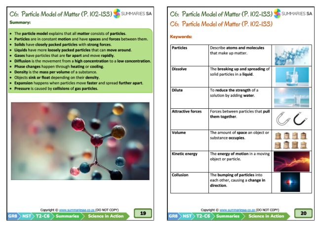 Grade 8 NS Summaries Term 2 Science in Action CAPS PDF | Summaries SA